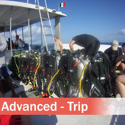 Advanced Open Water Diver - Trip